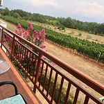 Bed & Breakfast Pansion Stojic