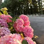 Pansion Stojic Međugorje